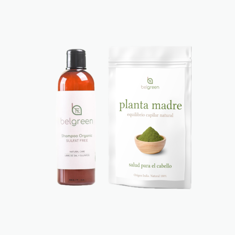 Pack Inicio: Planta Madre & Champú Orgánico
