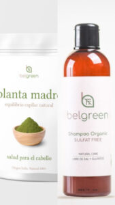 Pack 8: Planta Madre & Champú Orgánico