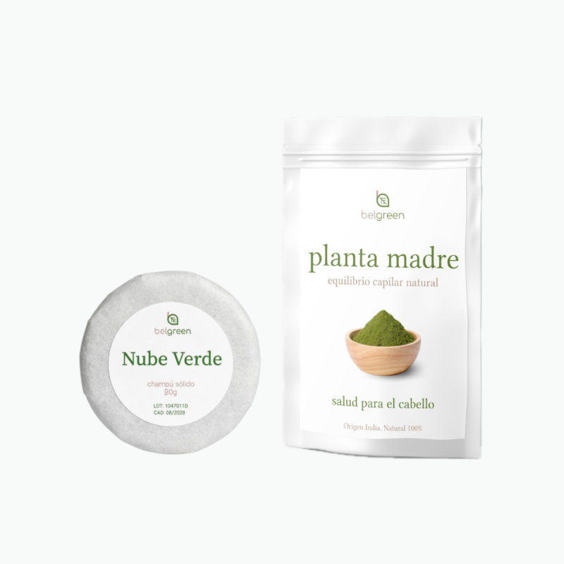 Ritual Détox y Calma para Cuero Cabelludo Sensible: Planta Madre & Champú Sólido Nube Verde
